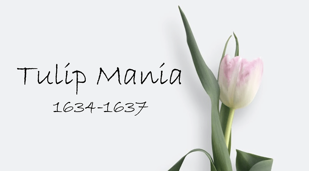 Tulip Mania 1634-1637