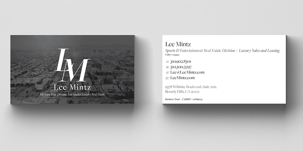 Lee Mintz Business Cards
