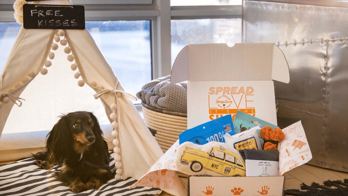 Photo of a dog in a tiny teepee surrounded by the contents of his Shaggy Swag gift box