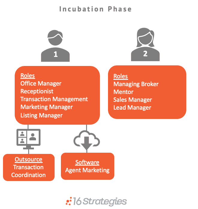 Incubation Phase Graphic