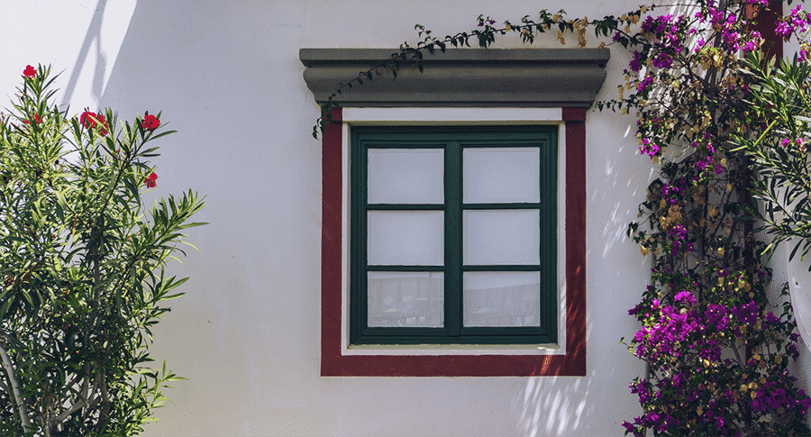 Paint Window