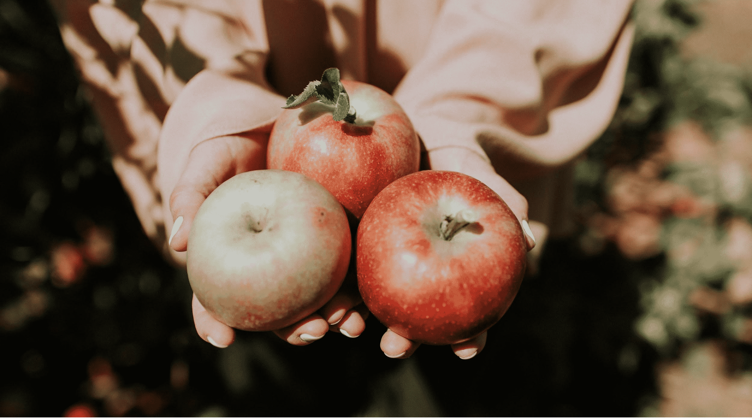 handful of apples