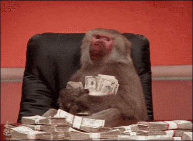 gif meme monkey holding cash