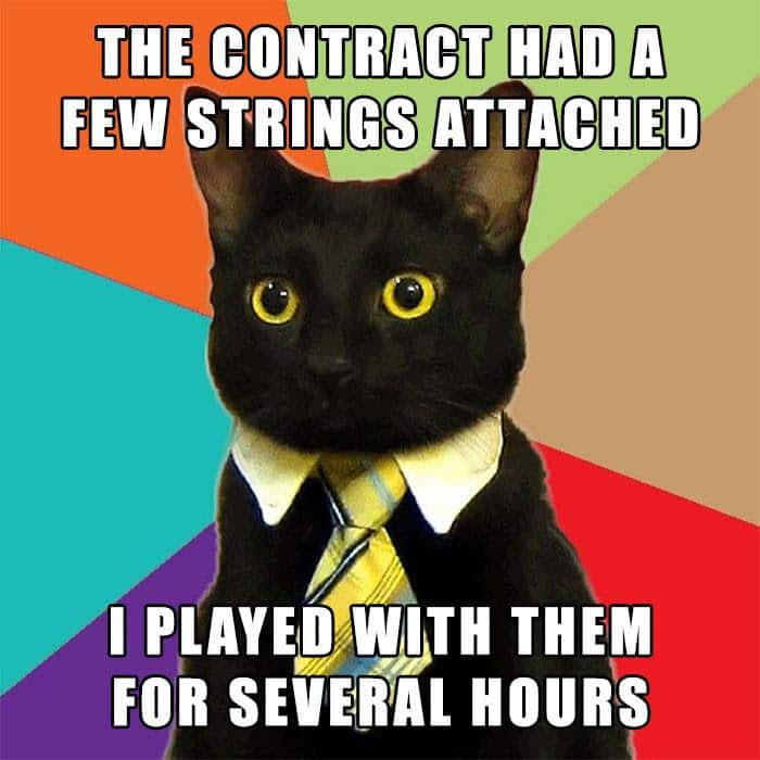 real estate meme of black cat that reads the contract had several strings attached. I played with them for several hours.