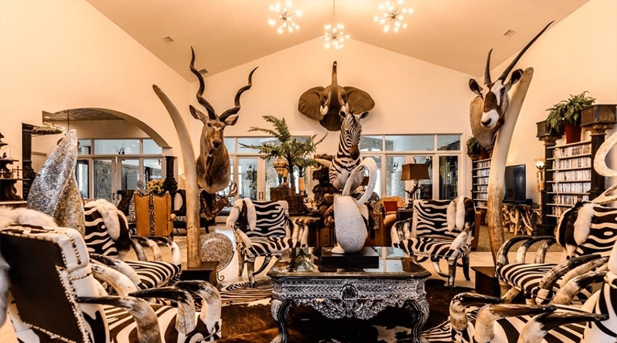 a living room filled with an overwhelming number of taxidermy