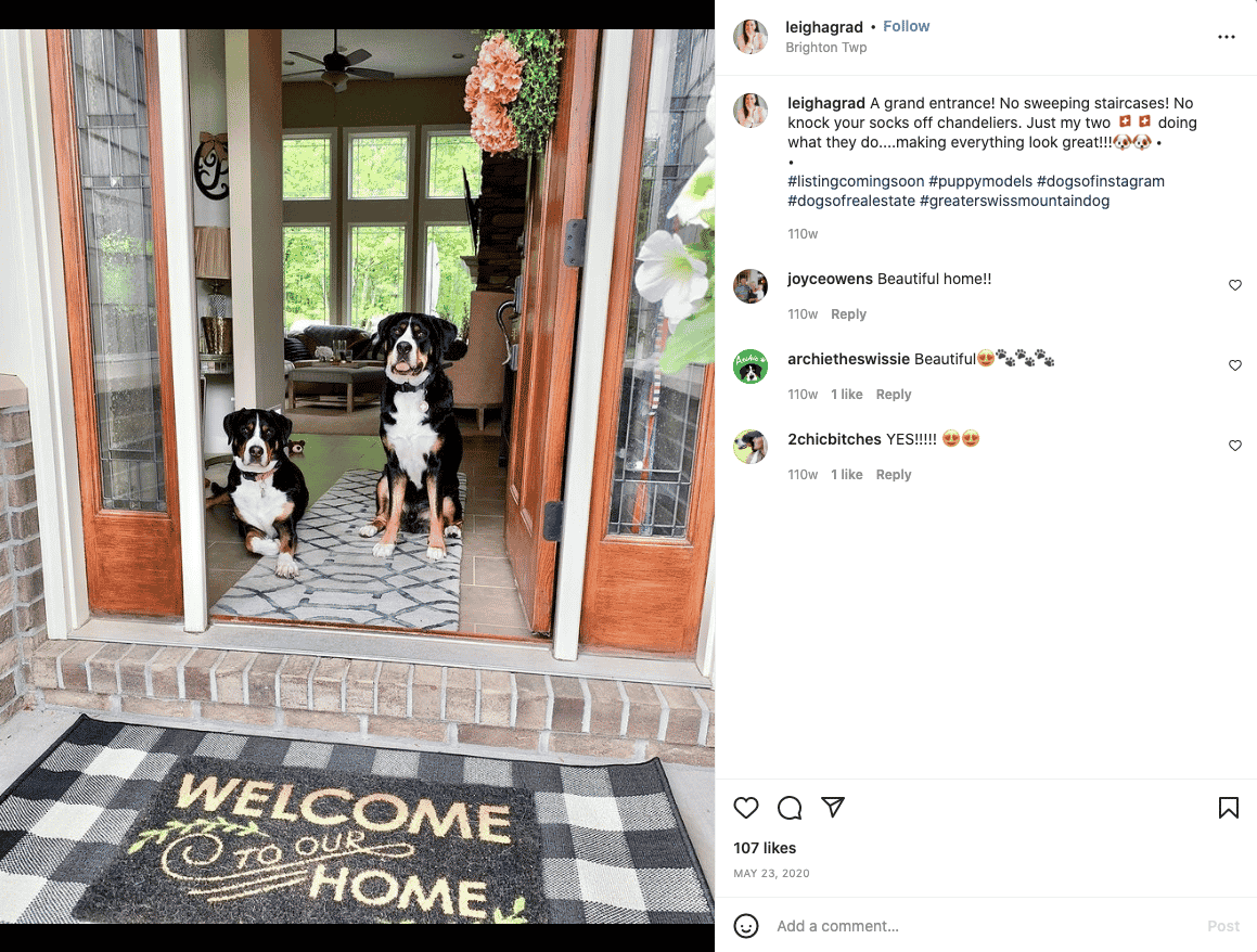 instagram post two dogs in door