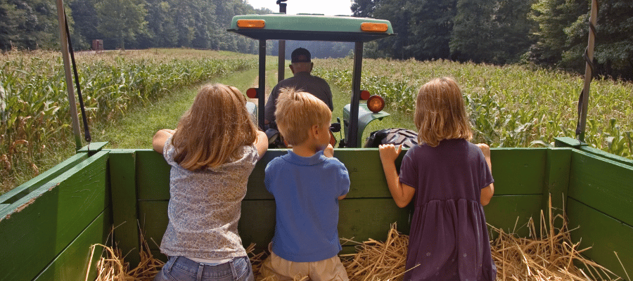 Kids enjoying the hayride in farm