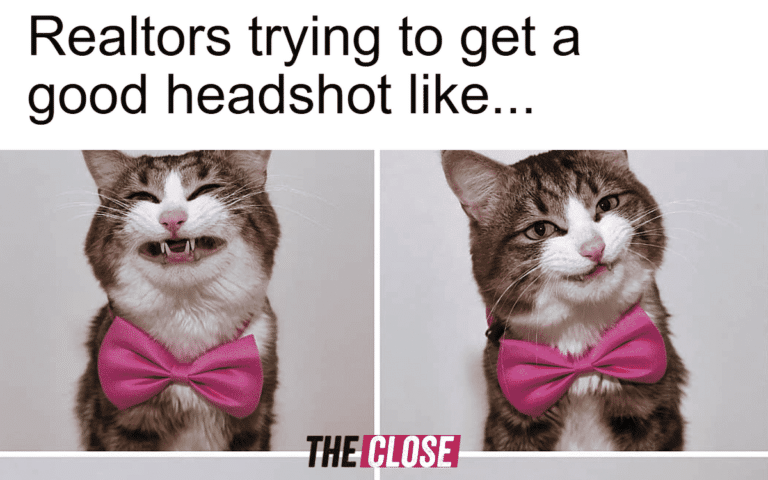 Meme with cat wearing bowtie trying to take a good headshot