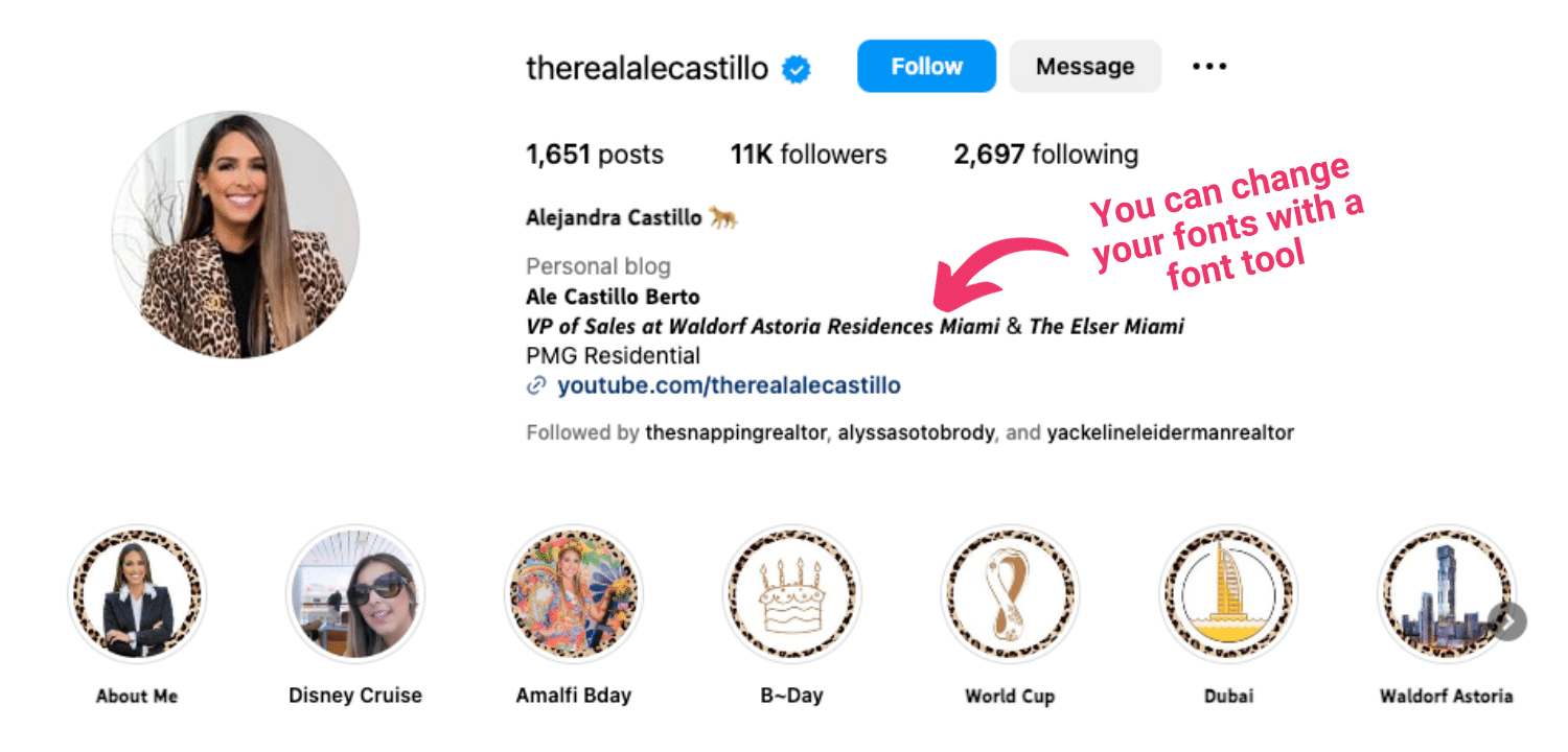 Screenshot of Alejandra Castillo's Instagram page with bio and highlight covers.