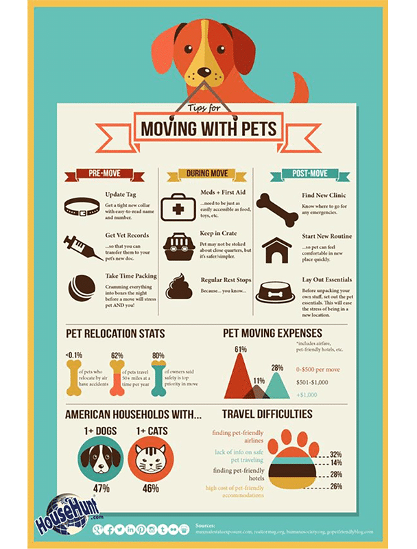 real estate infographic offering tips on moving with pets