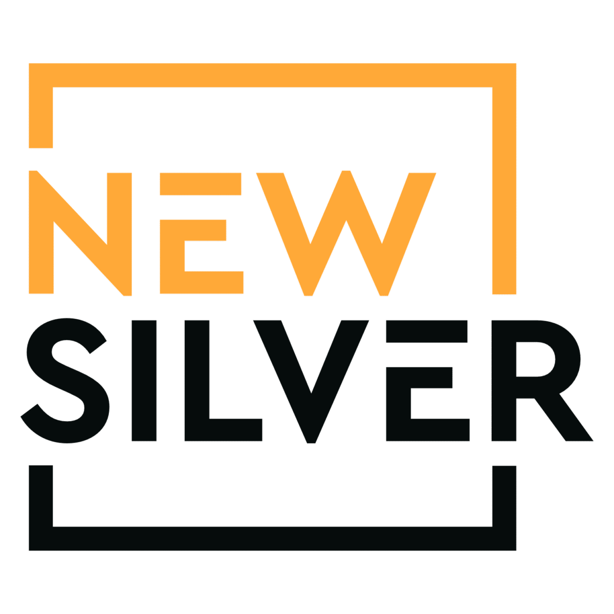 New SIlver logo