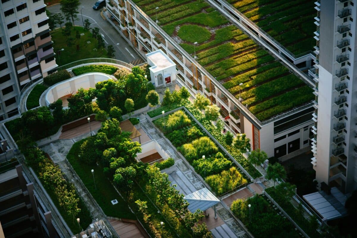 Top view of buildings with trees and plants